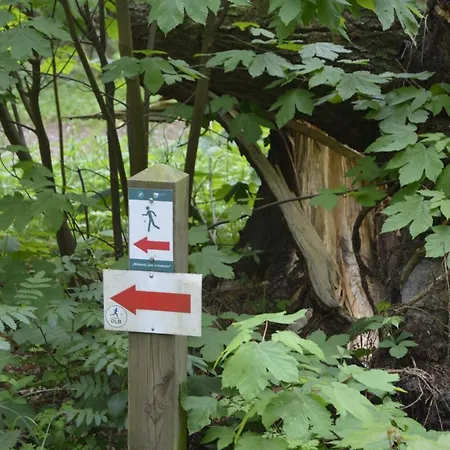 Magic Marine 아파트 드지우노웨크